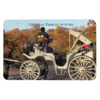 Magnet — Transport dans NYC Central Park