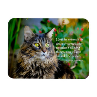 Flexible Maine Coon Chat Magnet Inspirant