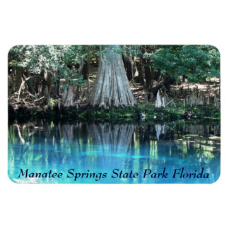 Flexible Manatee Springs Fl Flexi Magnet