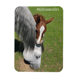 Flexible Milton Monday Magnet