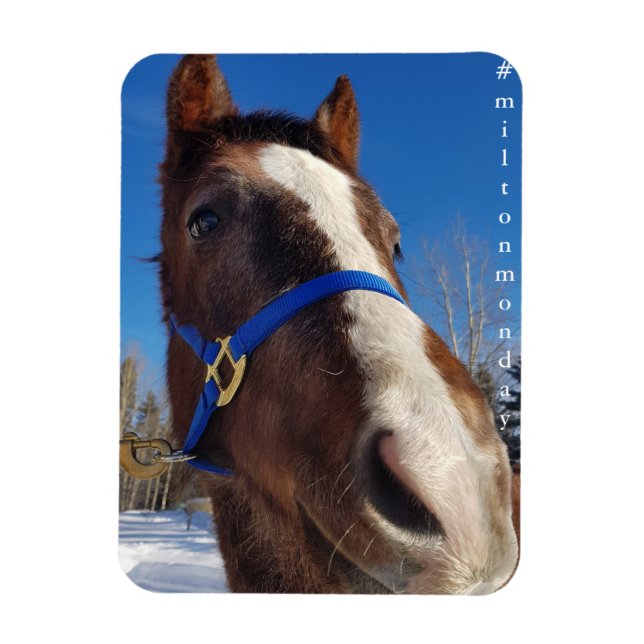 Flexible Milton Monday Magnet (Vertical)