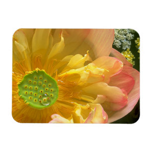 Flexible Ouvrir Lotus Magnet