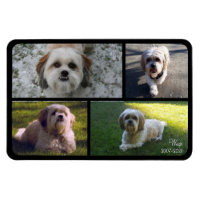 Pet Memorial Photo Collage Nom avec Dates Magnet