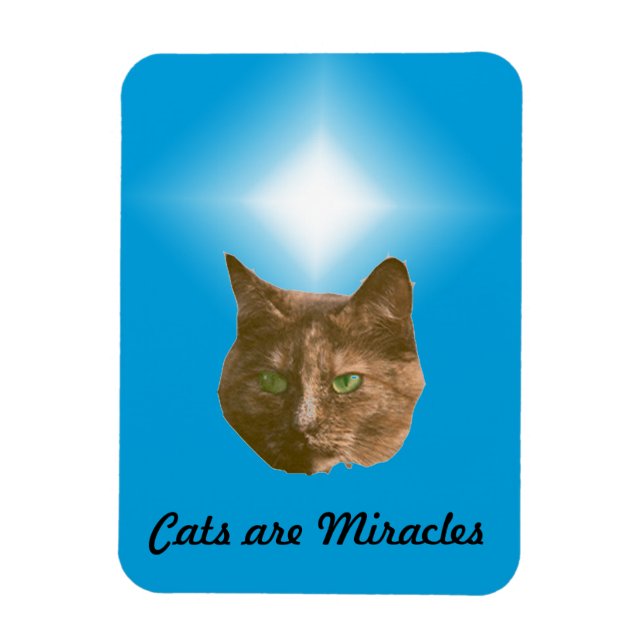 Flexible Photo Magnet - Les chats sont des miracles (Vertical)