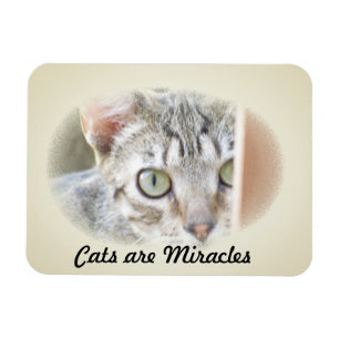 Flexible Photo Magnet - Les chats sont Miracles v.2
