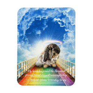 Flexible Pont de plusieurs couleurs Magnet