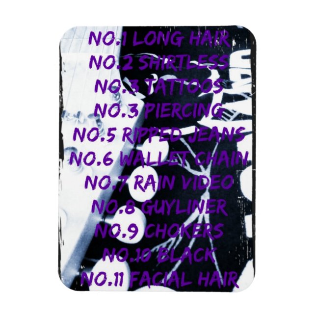 Flexible Règles de Rock Stars Photo Magnet (Vertical)