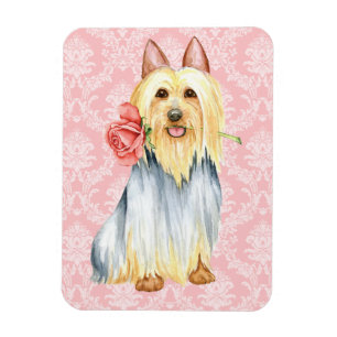 Flexible Rose Valentin Silky Terrier Magnet
