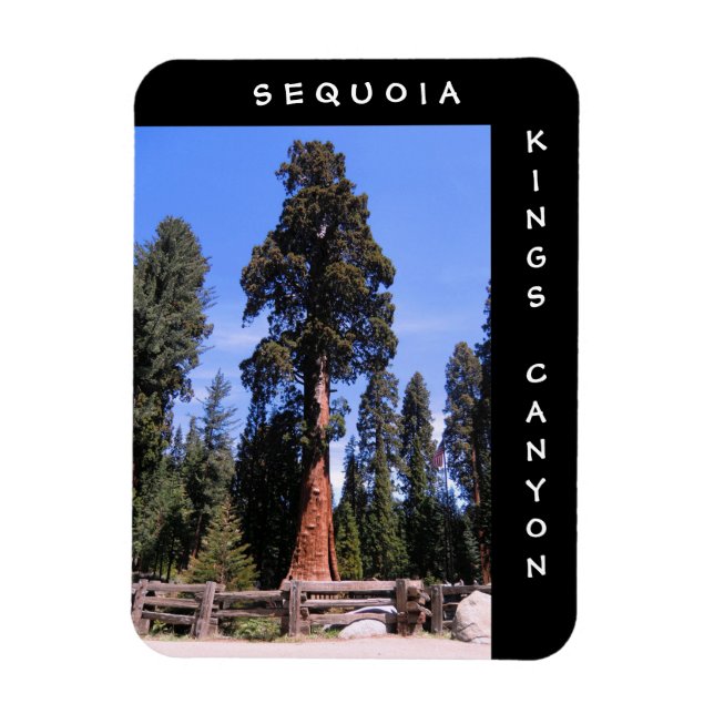 Flexible Sequoia Kings Canyon Magnet (Vertical)
