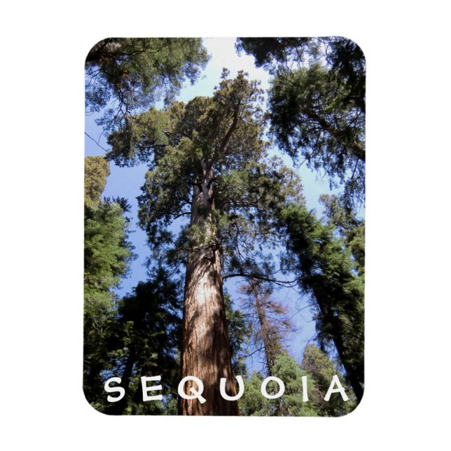 Flexible Sequoia Kings Canyon Magnet (Vertical)
