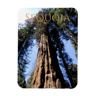 Flexible Sequoia/Kings Canyon National Park Magnet