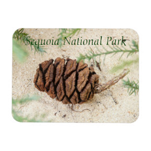 Flexible Sequoia Magnet