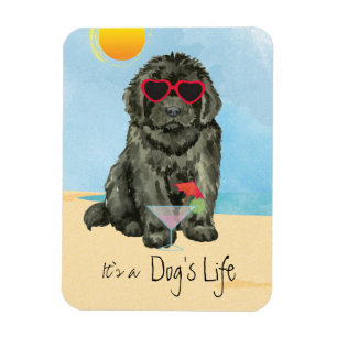 Flexible Summer Newfoundland Magnet