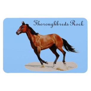 Flexible Thoroughbreds Rock Premium Magnet