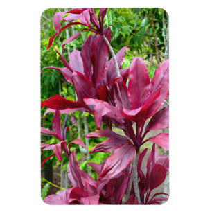Flexible Ti Plante Photo Magnet
