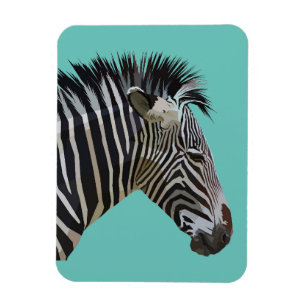 FLEXIBLE ZEBRA MAGNET