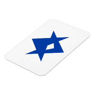 Flexibler Fotomagnet mit Flagge von Toyota City Magnet