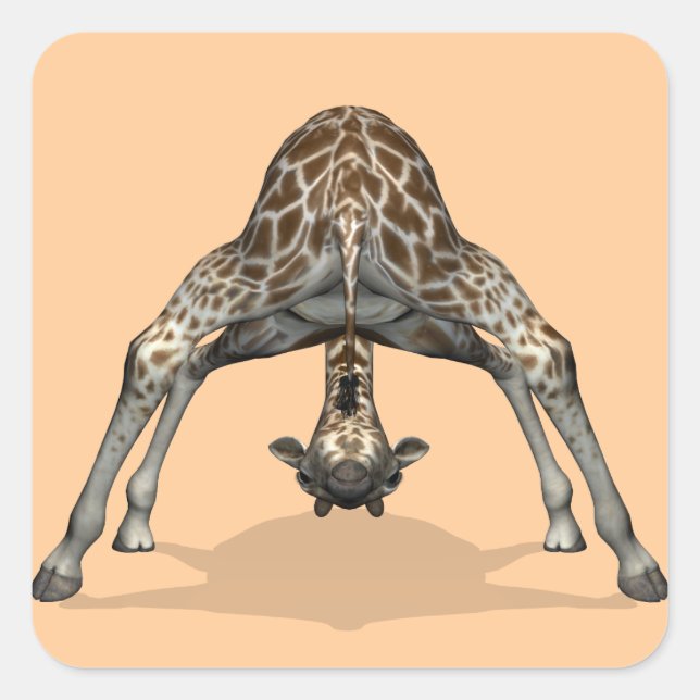 Flexibler Giraffe Quadratischer Aufkleber (Vorderseite)