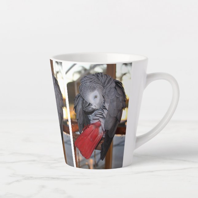 Flexibler Kongo Afrikanischer Grau-Papagei mit rot Milchtasse (Rechts)