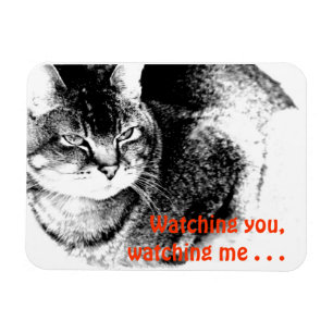 Flexibler Kühlschrankmagnet - Watchful Cat! Magnet
