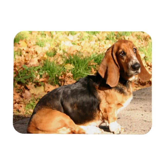 Flexibles Basset-Hound-Magnet setzen Magnet (Horizontal)