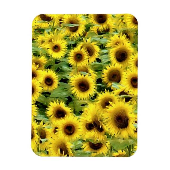 Flexibles Foto Magnet (Vertikal)