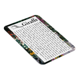 Flexibles Foto Magnet