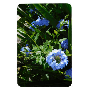 Flexibles Foto Magnet Blume blaues Design