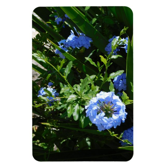 Flexibles Foto Magnet Blume blaues Design (Vertikal)