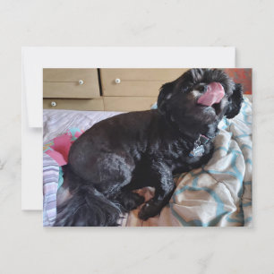 Flicker der Zunge Postkarte