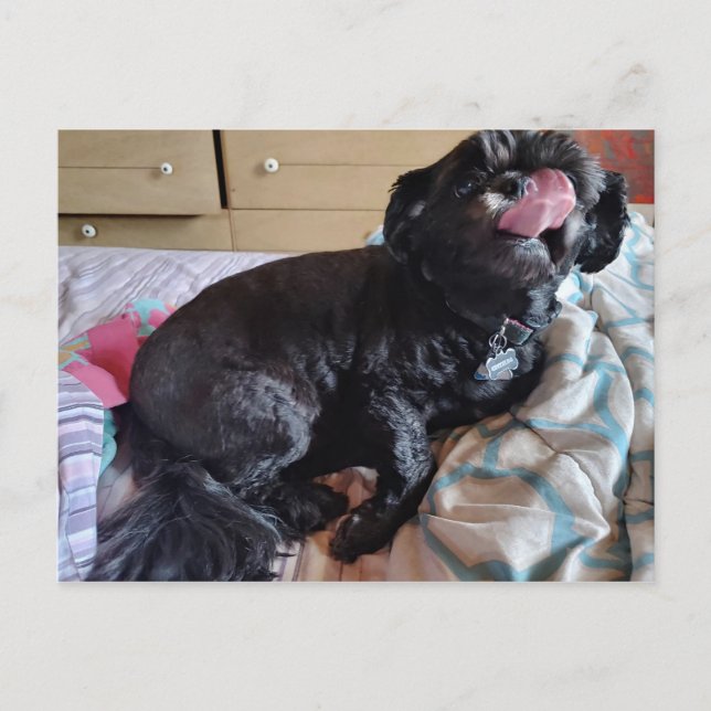 Flicker der Zunge Postkarte (Vorderseite)