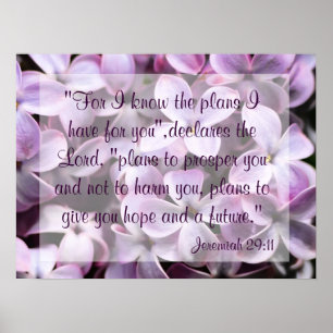 Flieder-Jeremias-29:11 Plakat