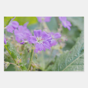 Flieder-Wildblumen-Foto Geranie Botanische Blume Geschenkpapier Set