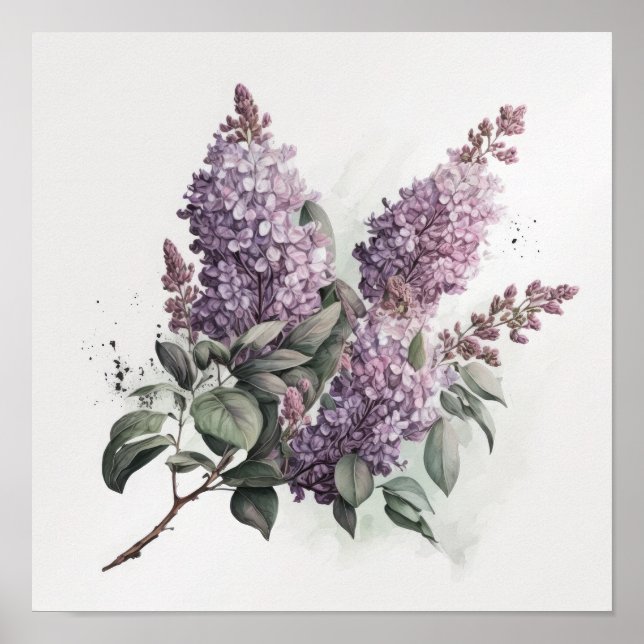 Fliederblumen-Kunstposter  Poster (Vorne)