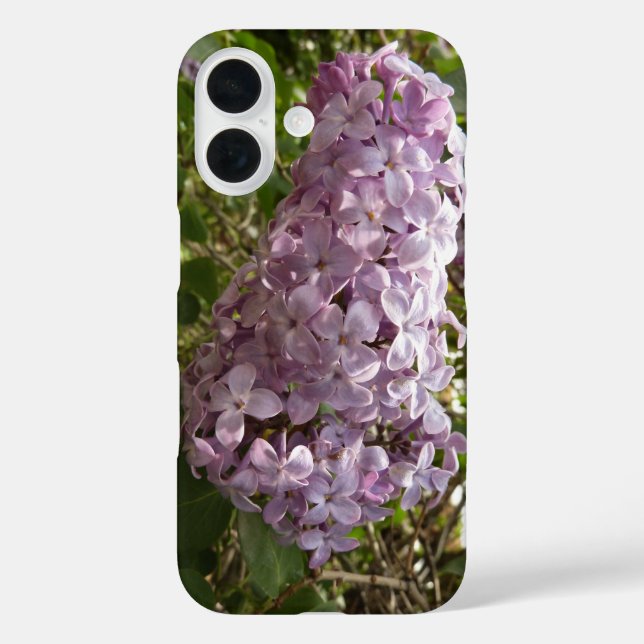 Fliederblütencluster Frühlingsblumen iPhone 16 Hülle (Rückseite)