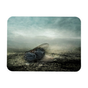 Fliege 2013 magnet
