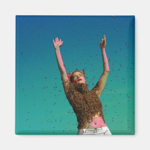 Fliege bis zum Nacht Magnet