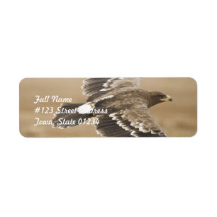 Fliegen-Adler-Rücksendeadressemailings-Aufkleber