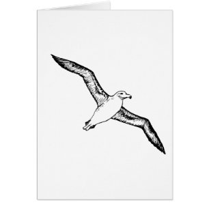 Fliegen-Albatros-Illustration