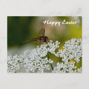 Fliegen auf einer Blume glückliche Osterkarte Feiertagspostkarte