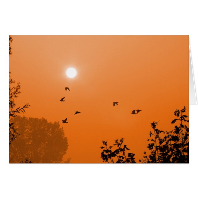 Fliegen bei Morgengrauen (Vorderseite (Horizontal))