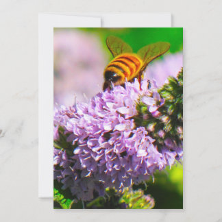 Fliegen-Bienen-12x18 Ausdruck-/Gruß-Karte Dankeskarte
