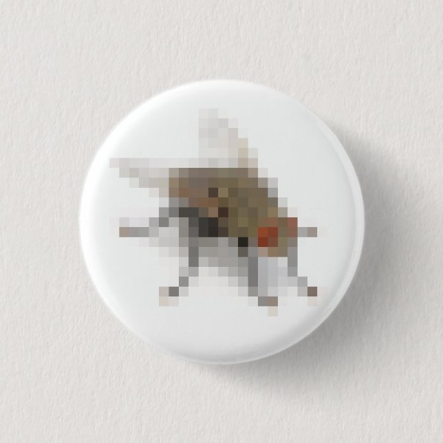 Fliegen. Button (Vorderseite)