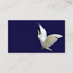 Fliegen Cockatiel-Visitenkarte Visitenkarte