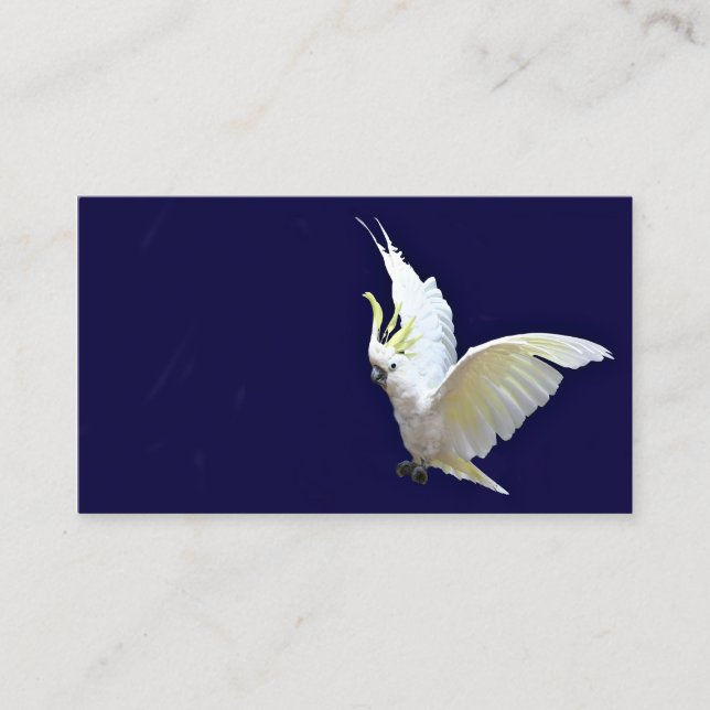 Fliegen Cockatiel-Visitenkarte Visitenkarte (Vorderseite)