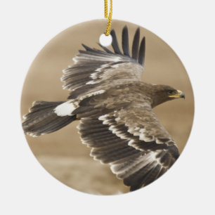 Fliegen-Eagle-Verzierung Keramikornament