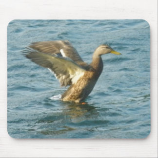 Fliegen-Ente Mousepad