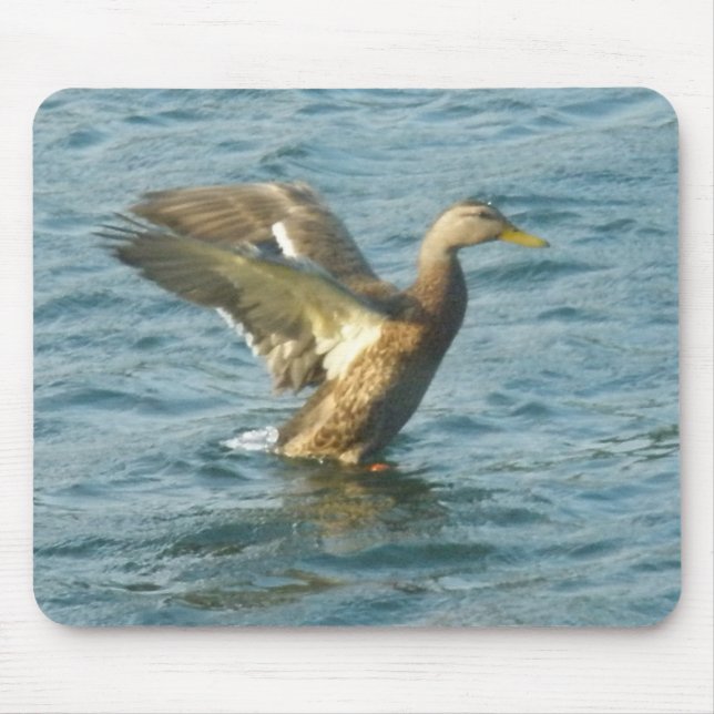 Fliegen-Ente Mousepad (Vorne)
