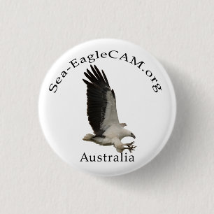 Fliegen erwachsener Meer-Eagle Knopf Button
