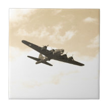 Fliegen-Festung im Flug